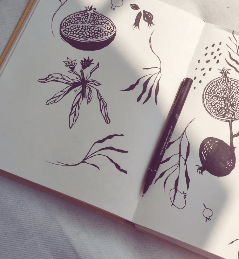 Artistic illustrations of pomegranates and leaves on a notebook with a pen.